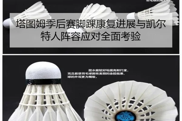 塔图姆季后赛脚踝康复进展与凯尔特人阵容应对全面考验